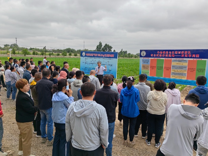 兵团召开粮食作物田间管理暨高产创建现场培训会
