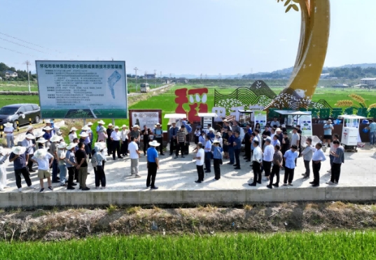 2025年全国秋粮病虫害发生趋势会商会在我省怀化召开2
