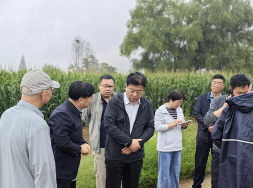 省农业农村厅全力开展农业救灾和恢复生产 省农业农村厅全力开展农业救灾和恢复生产