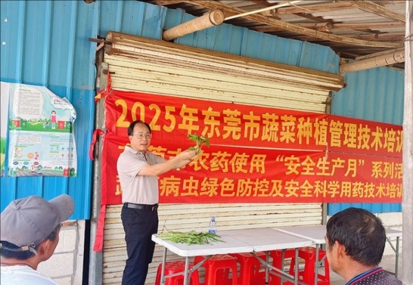 多措并举 东莞农业科技特派员全力保障农产品安全